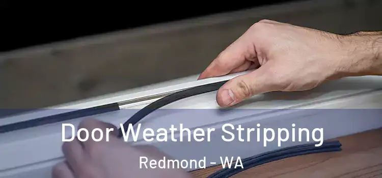 Door Weather Stripping Redmond - WA