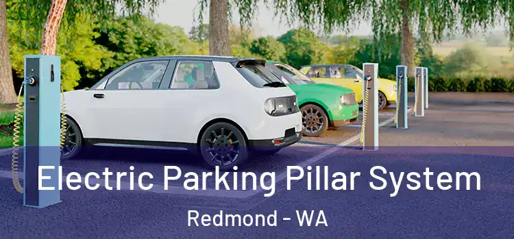 Electric Parking Pillar System Redmond - WA