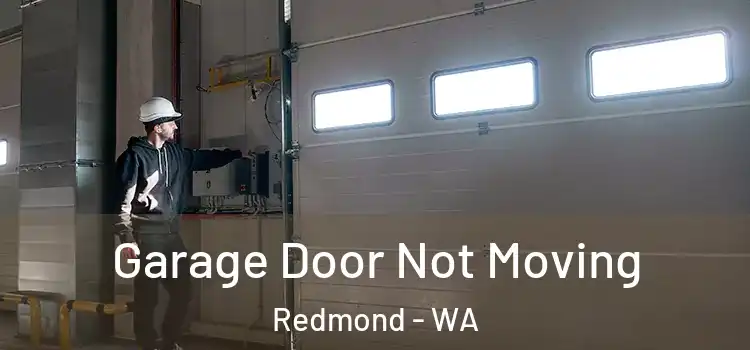  Garage Door Not Moving Redmond - WA