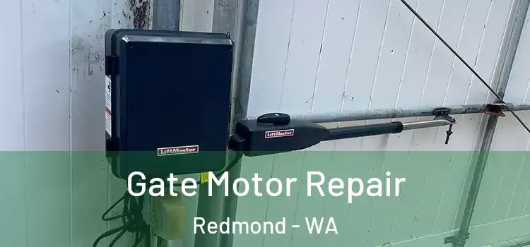 Gate Motor Repair Redmond - WA
