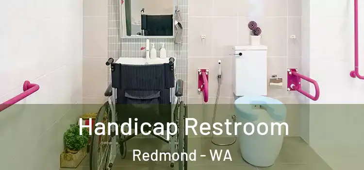 Handicap Restroom Redmond - WA
