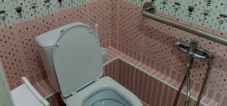 Meeting Diverse Needs With Accessible Restroom Solutions in Redmond, WA