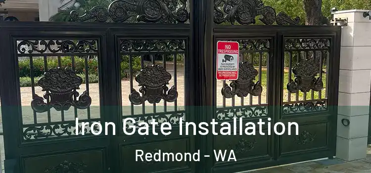 Iron Gate Installation Redmond - WA