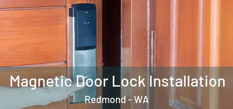  Magnetic Door Lock Installation Redmond - WA