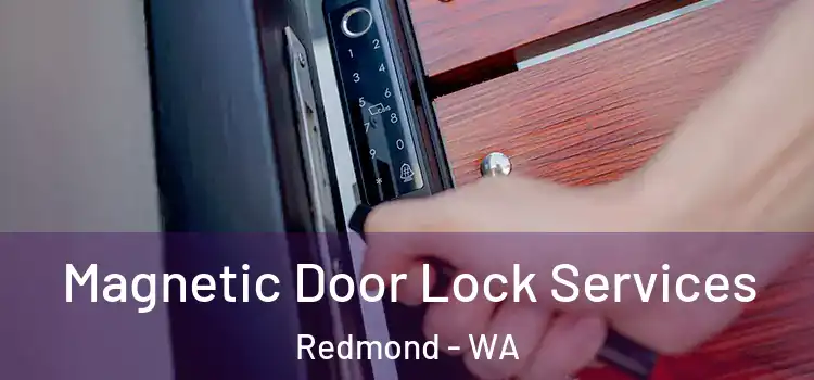 Magnetic Door Lock Services Redmond - WA