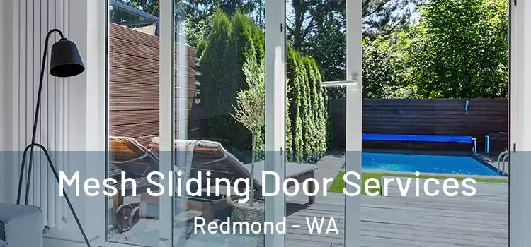 Mesh Sliding Door Services Redmond - WA