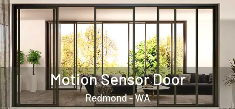  Motion Sensor Door Redmond - WA