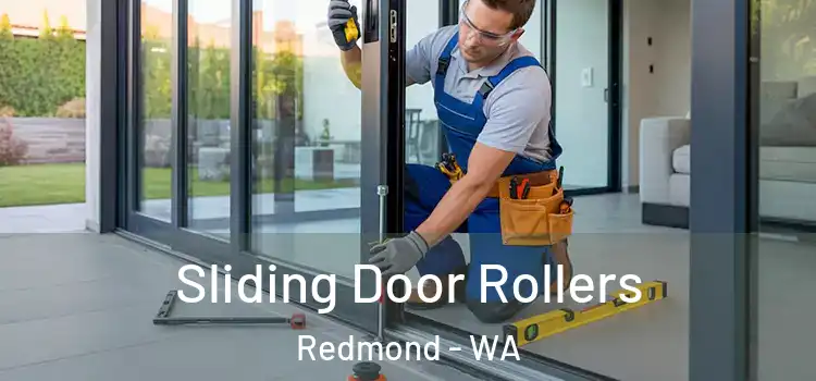 Sliding Door Rollers Redmond - WA