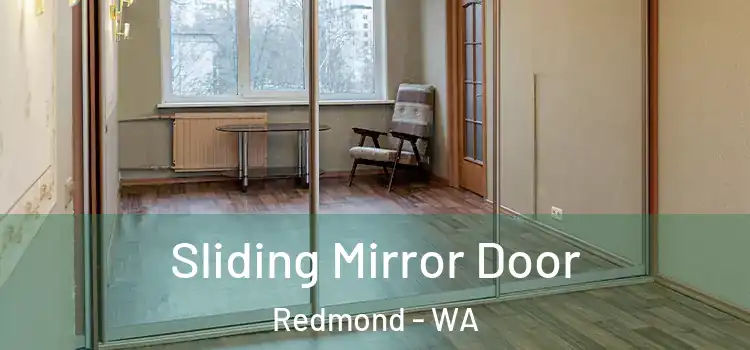  Sliding Mirror Door Redmond - WA
